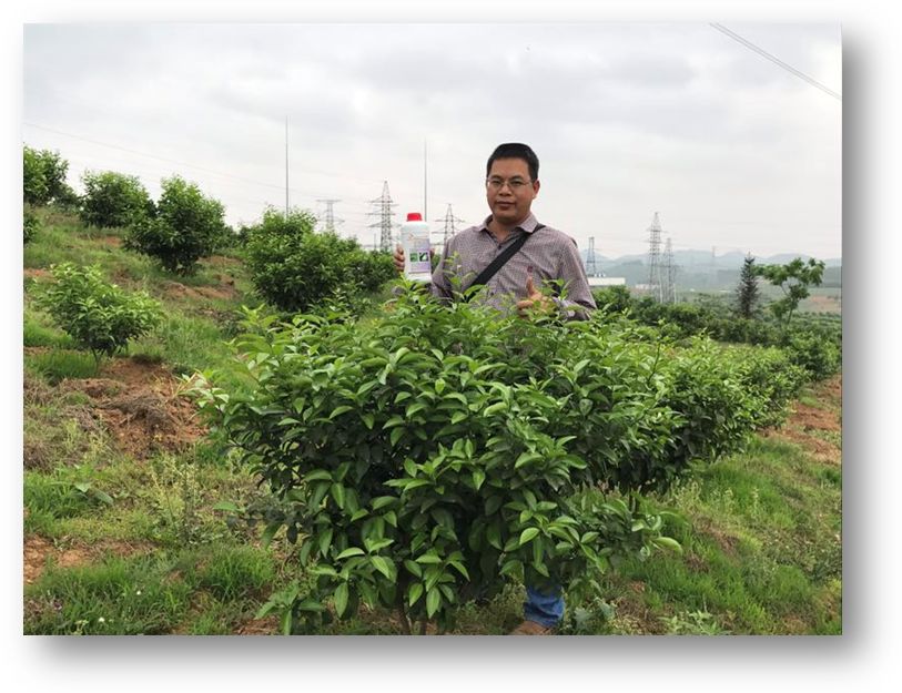 风靡市场16年,100多万橘农持续使用!这款超级大单品怎么炼成的?