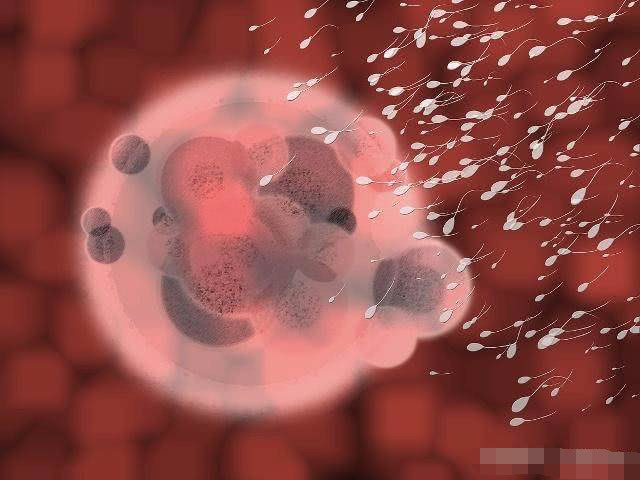 小蝌蚪进母体后没有成功着床,小蝌蚪进入母体会感觉到温度吗