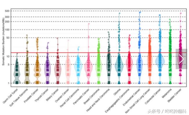 确保安全，锁定神效：四类基因突变，帮你精准使用PD-1！