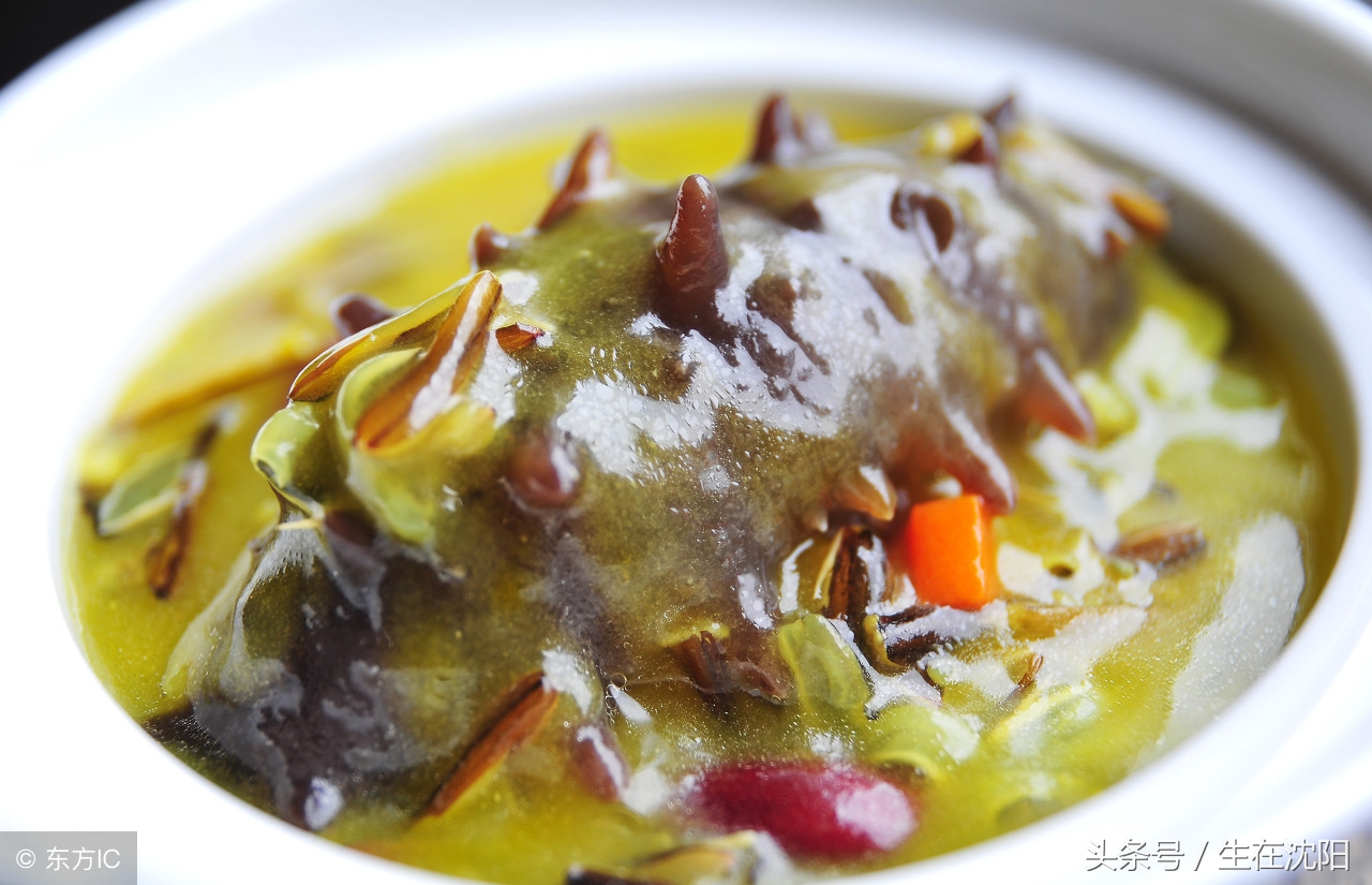 辽参的正宗照片大全,辽参野生图片大全