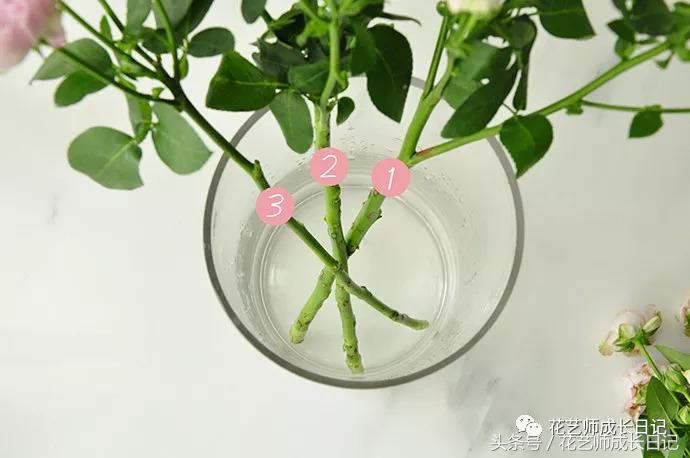 想当花艺师怎么自学,如何成为一个花艺师