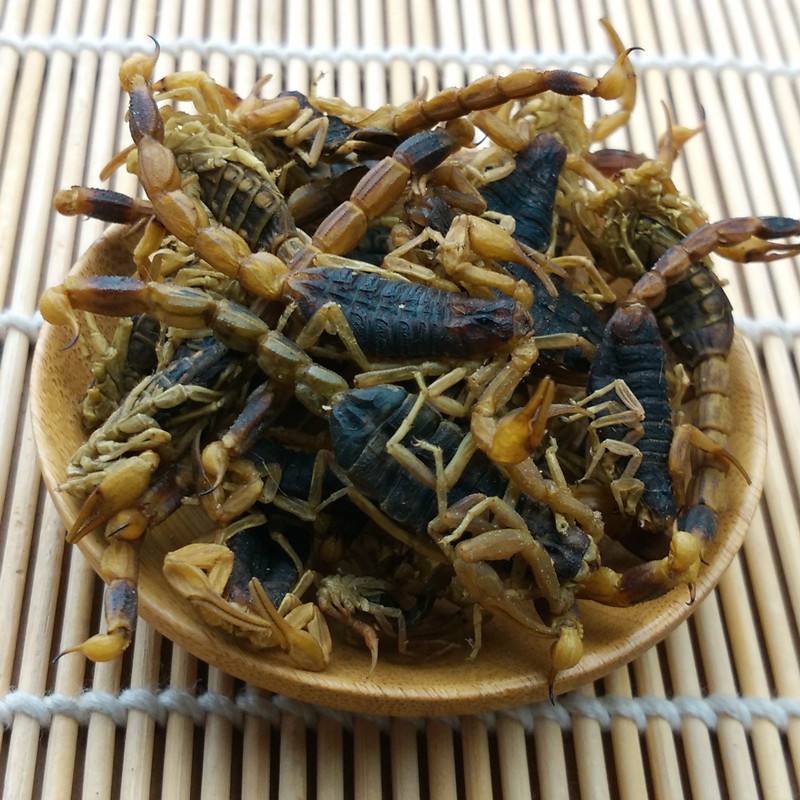 全蝎相克的十种药,中医全蝎蜈蚣的功效与作用