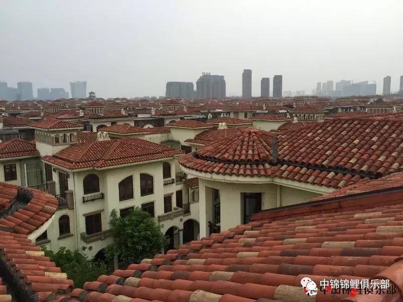 楼顶鱼池有哪些,屋顶鱼池的建造方法