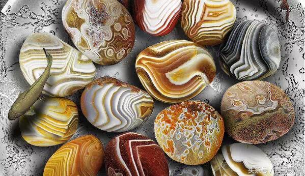 长沙特产送人一览表,上海特产必买清单一览表