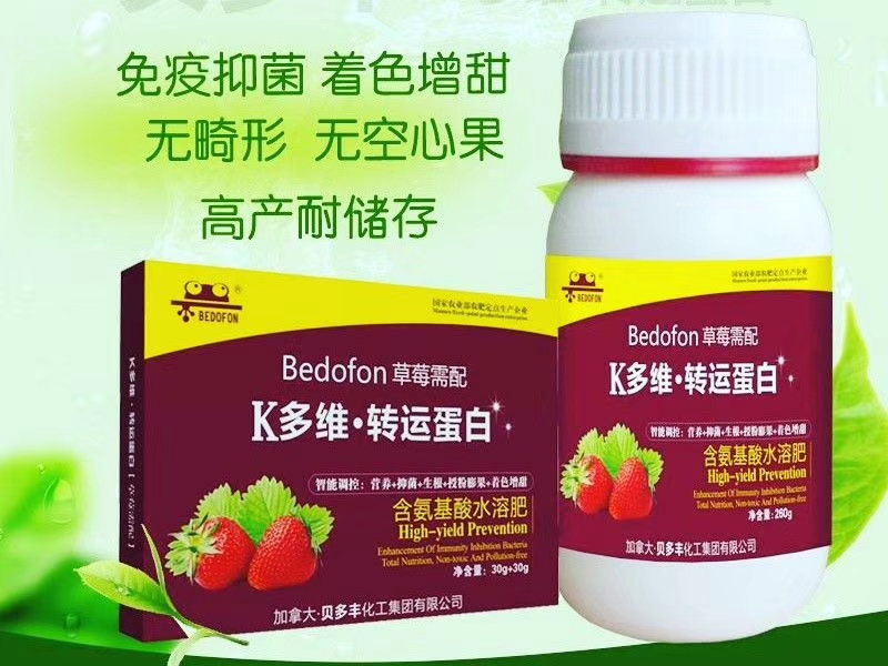 草莓怎么防止冻死,草莓冬天怎么防止冻伤