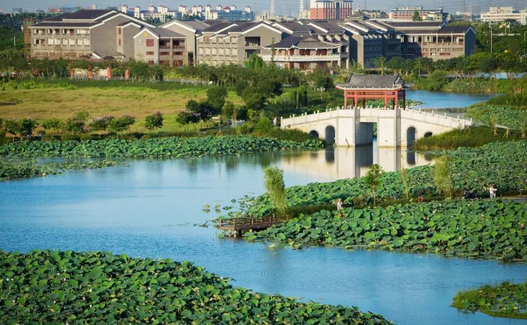 麻涌全域旅游发展,麻涌乡村旅游