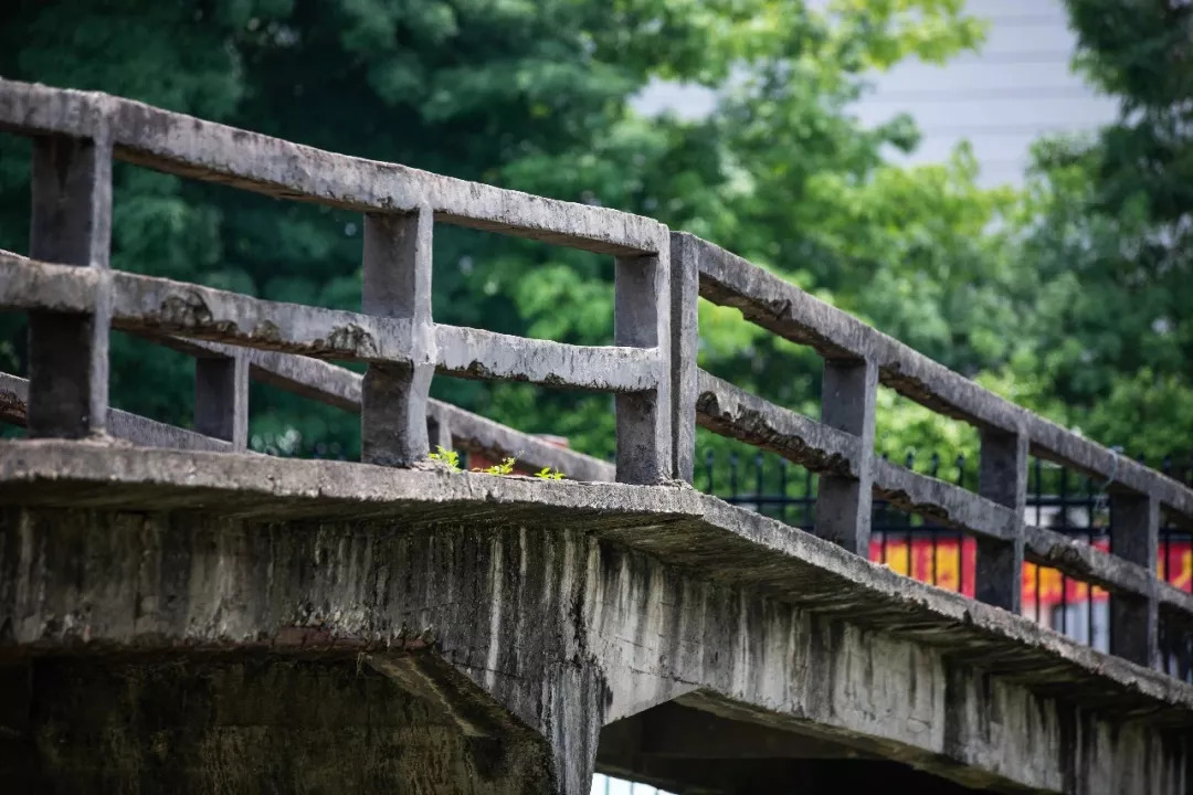 麻涌全域旅游发展,麻涌乡村旅游