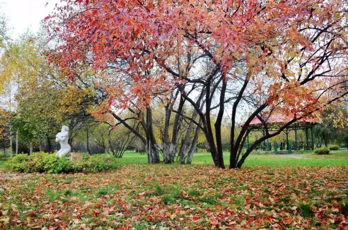 国庆伏尔加庄园,哈尔滨伏尔加庄园三日游