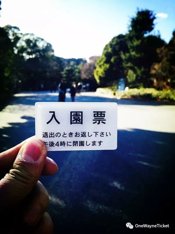 浮游纪言叶之庭原文,浮游纪