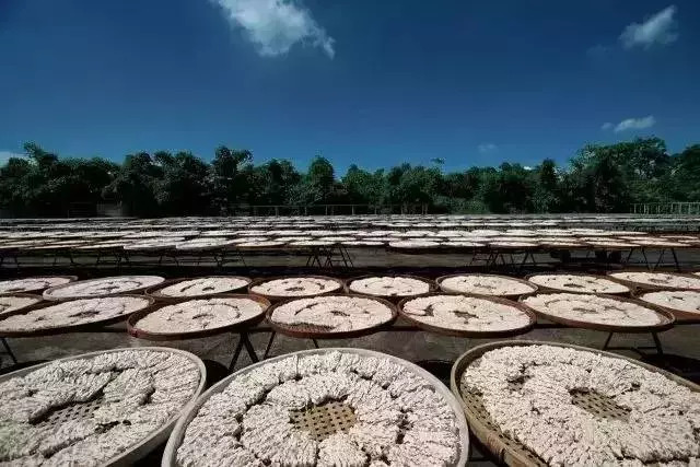 舒淇吃面,舒淇吃三大碗面