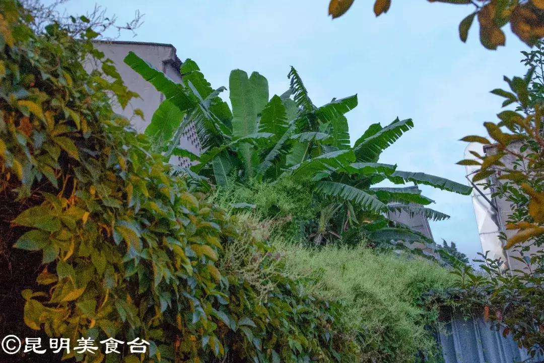 藏在昆明老厂房里的柴火鸡，一款酱料价值百万，连续排队5年