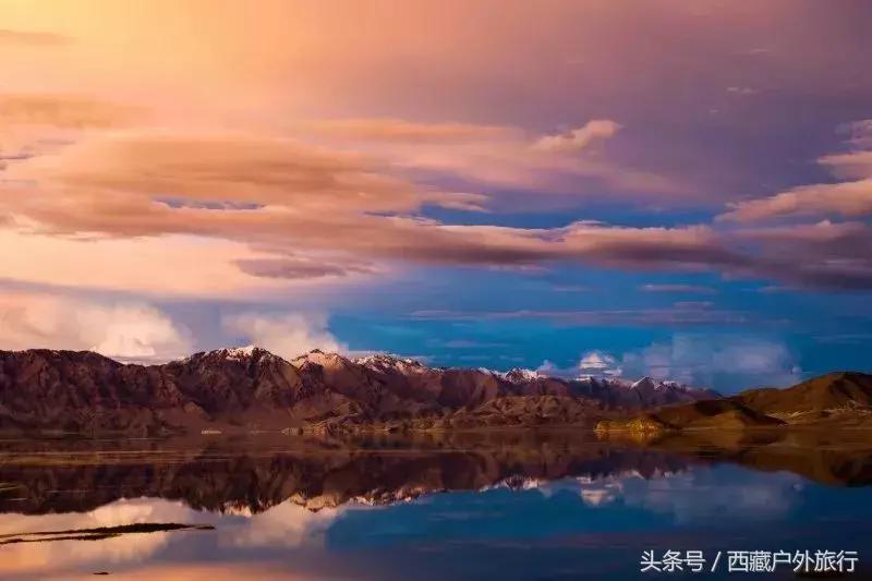 为什么阿里叫阿里地区,为什么阿里被称为拳王