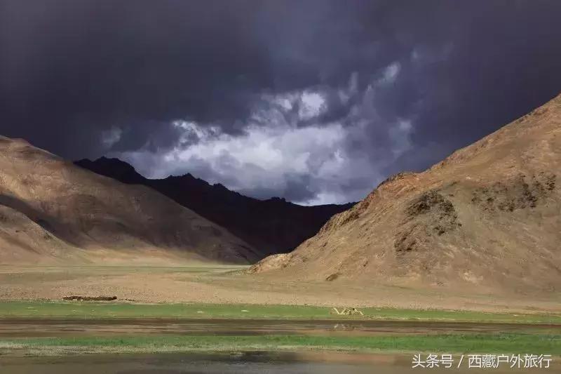 为什么阿里叫阿里地区,为什么阿里被称为拳王