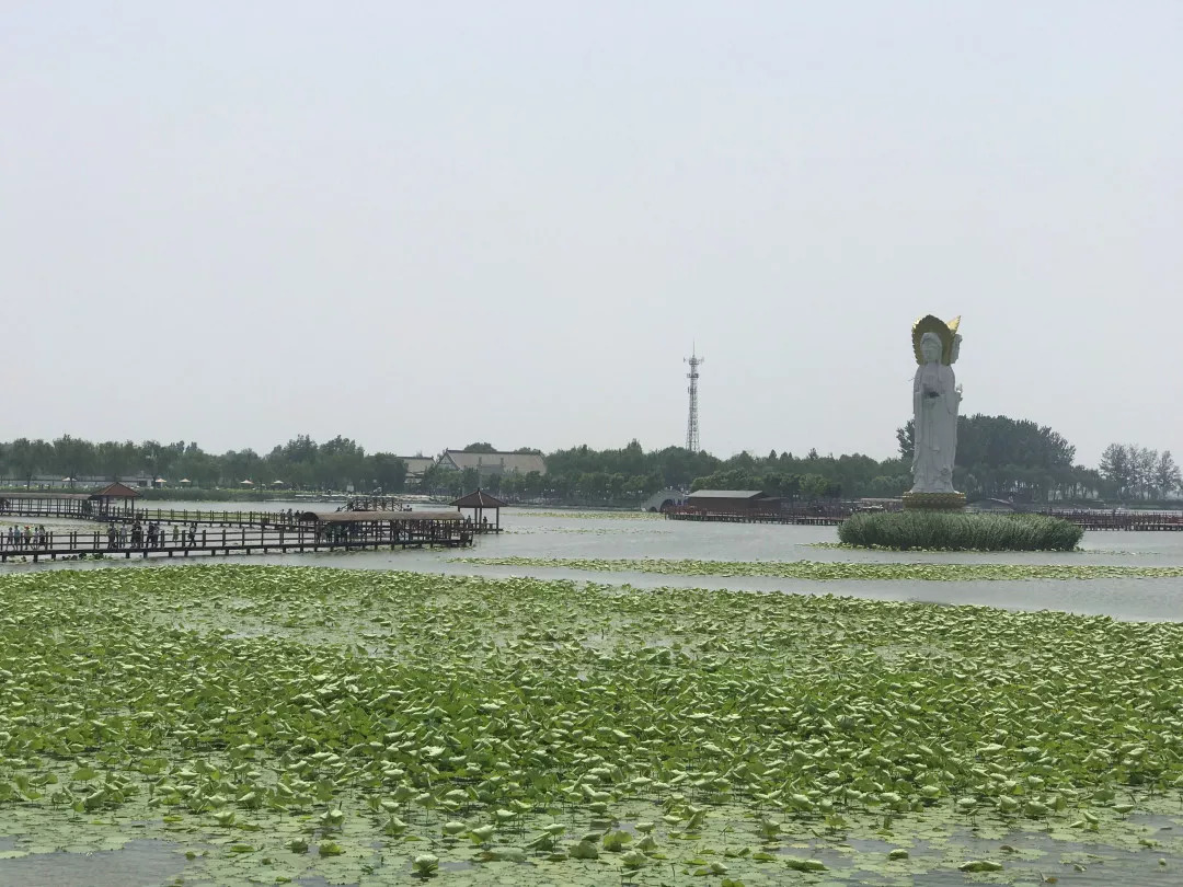 下站该往哪里去,下站了该去哪