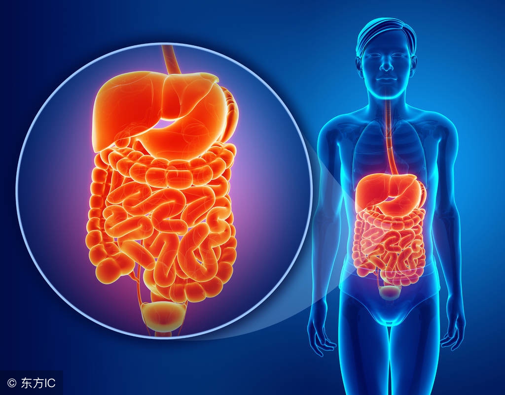 胃疼干呕恶心该怎么解决,胃疼呕吐饮食要注意什么