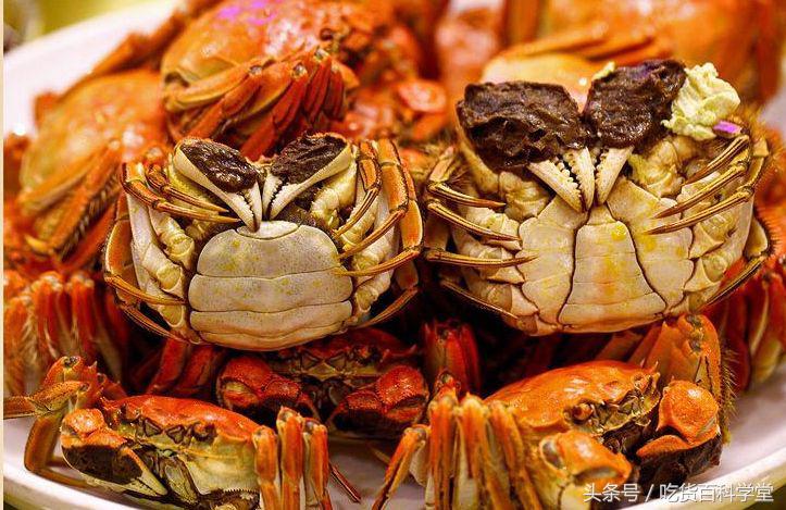 螃蟹怎么挑选公母,螃蟹的饲养过程中公母分养好吗