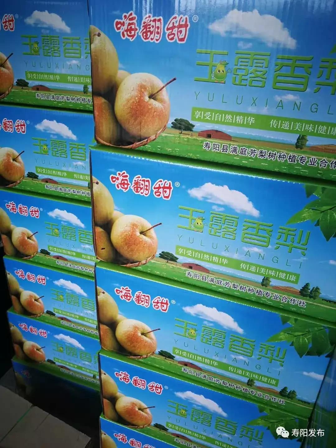 寿阳县富家沟梨儿熟了!又见梨果满枝头