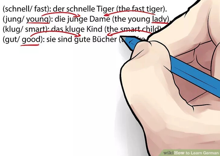 学好德语有什么技巧,德语零基础入门怎么学