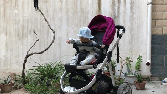 轻便高景观婴儿推车最强测评,高景观轻便双向婴儿推车推荐