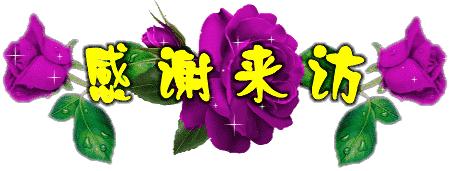 感恩遇见相守流年的意思,感恩流年中的每一次相遇