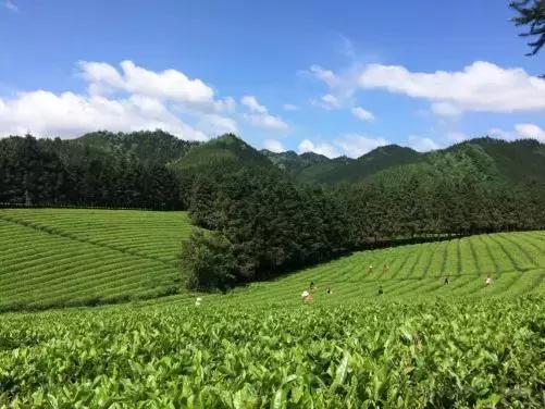 舞动龙头教程,舞动龙头项目发挥引擎作用