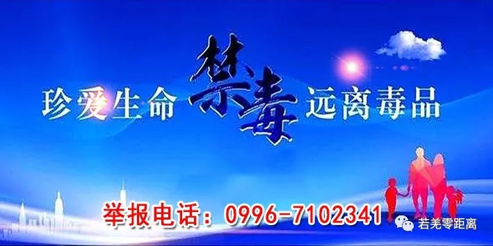 新疆红枣怎样运送到内地,若羌红枣带货