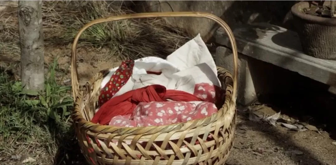 哑巴女人悲惨的一生,哑巴女人悲惨的一生剧情