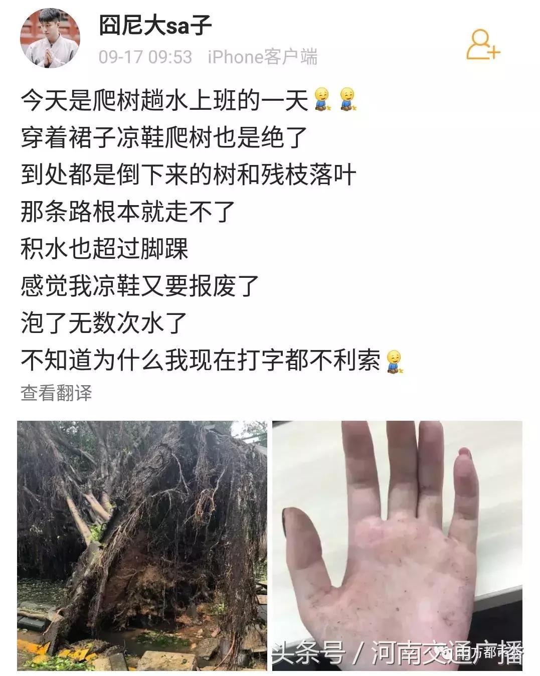 “山竹”过后首个工作日：广东人爬树都要去上班！