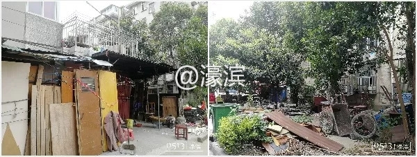 老破小、脏乱差?新桥新村是这样吗?