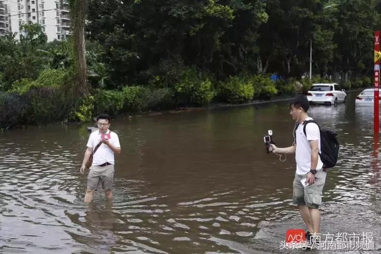 “山竹”过后首个工作日：广东人爬树都要去上班！