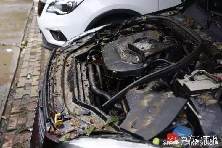 “山竹”过后首个工作日：广东人爬树都要去上班！