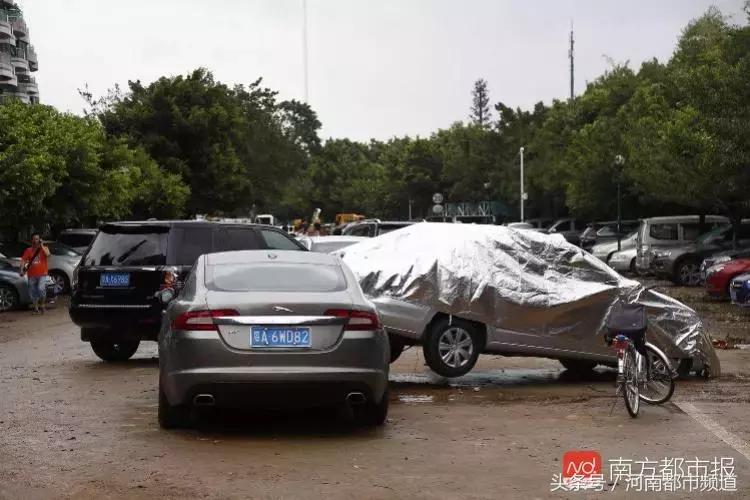 “山竹”过后首个工作日：广东人爬树都要去上班！