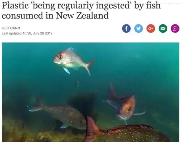 外卖正在毁灭下一代,外卖正在毁灭我们的下一代原文