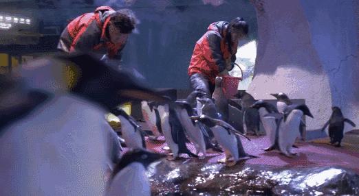 武汉发放100万张景点门票,武汉30万张门票免费预约