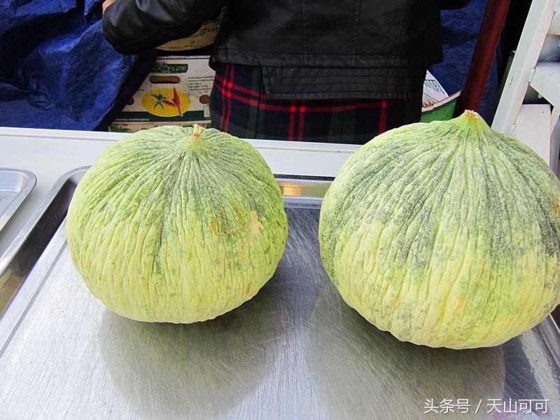 霍尔果斯口岸什么生意多,霍尔果斯边境口岸可以做什么生意