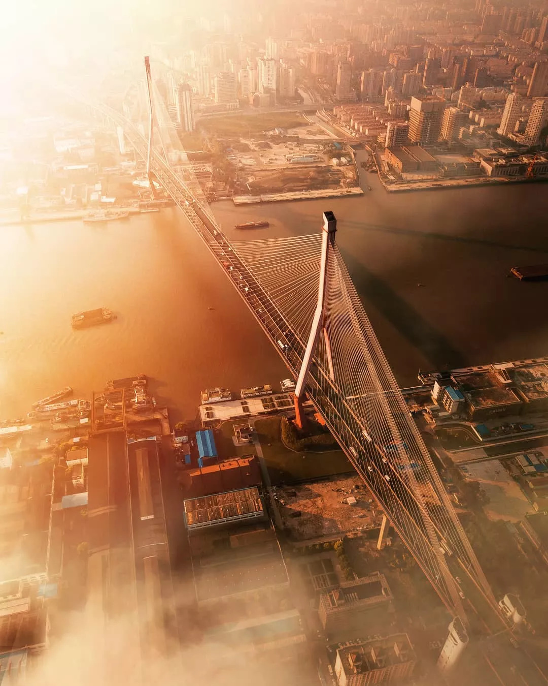 上海绝美照片,上海惊艳的照片