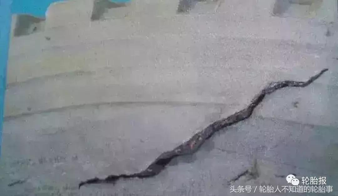 轮胎缺陷及原因分析,轮胎常见故障现象有哪些