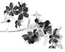 艺术画雨伞,艺术创作画雨伞