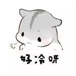 「蜀黍周趣闻」爆笑！收到2米多高代购清单的男子代购回来啦！