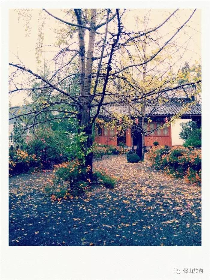 银杏村是个什么样的村落？它的美可以让人摒弃浮躁忘却烦恼