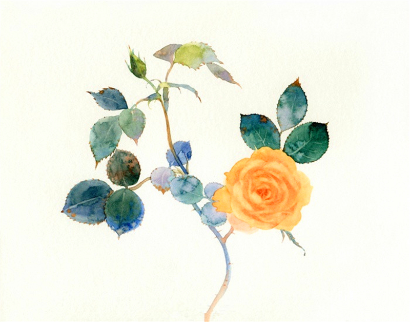 唯美且有深意的古风词语,爱情古风唯美成语