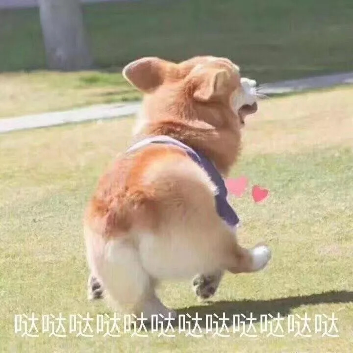 地球最好米粉砷超标17类,国产嘉宝米粉重金属超标详情