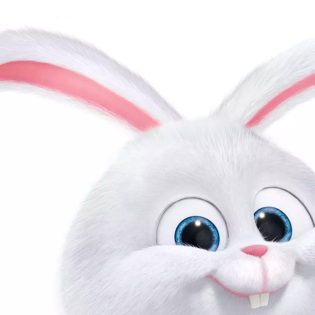 吐槽大会狗狗事件,吐槽大会泰迪犬