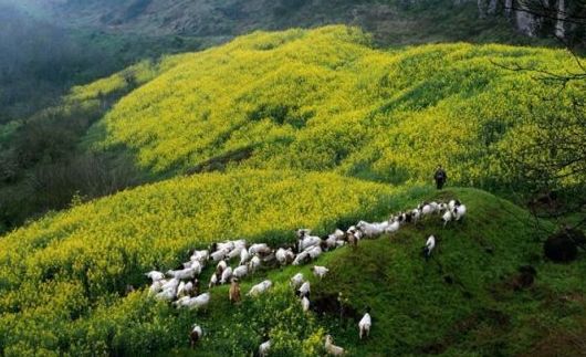 璇椾汉寮犵窘,寮犵窘姹熻タ
