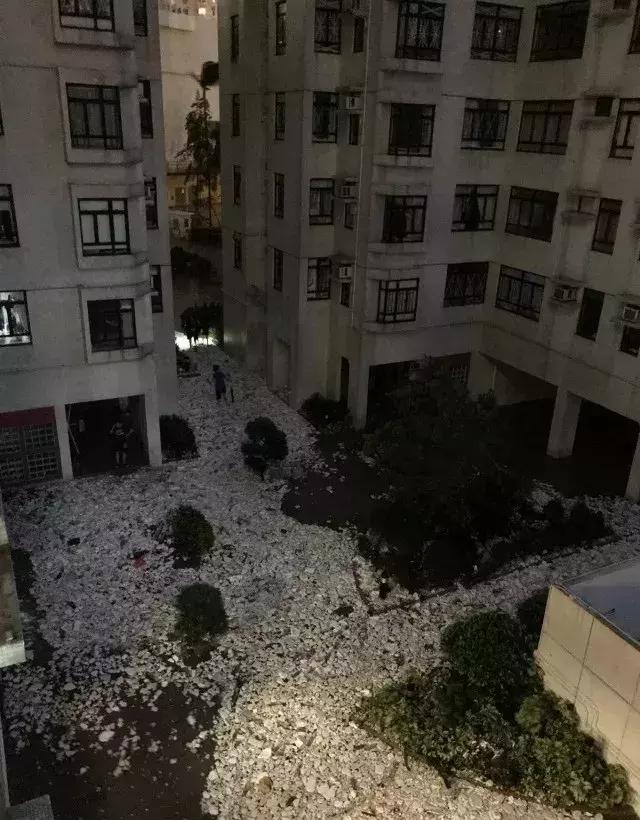 山竹扔垃圾桶,山竹扔垃圾桶里