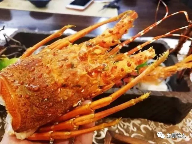 7折！开在美术馆里的大师级日料！100+种菜品无限畅吃~