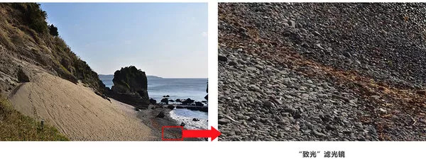 尼康单筒望远镜官方旗舰店,尼康望远镜专卖店官方旗舰店