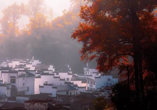 婺源10月,10-11月的婺源