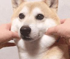 钱难赚屎难吃下一句怎么回复,钱难赚屎难吃怎么高情商的回复