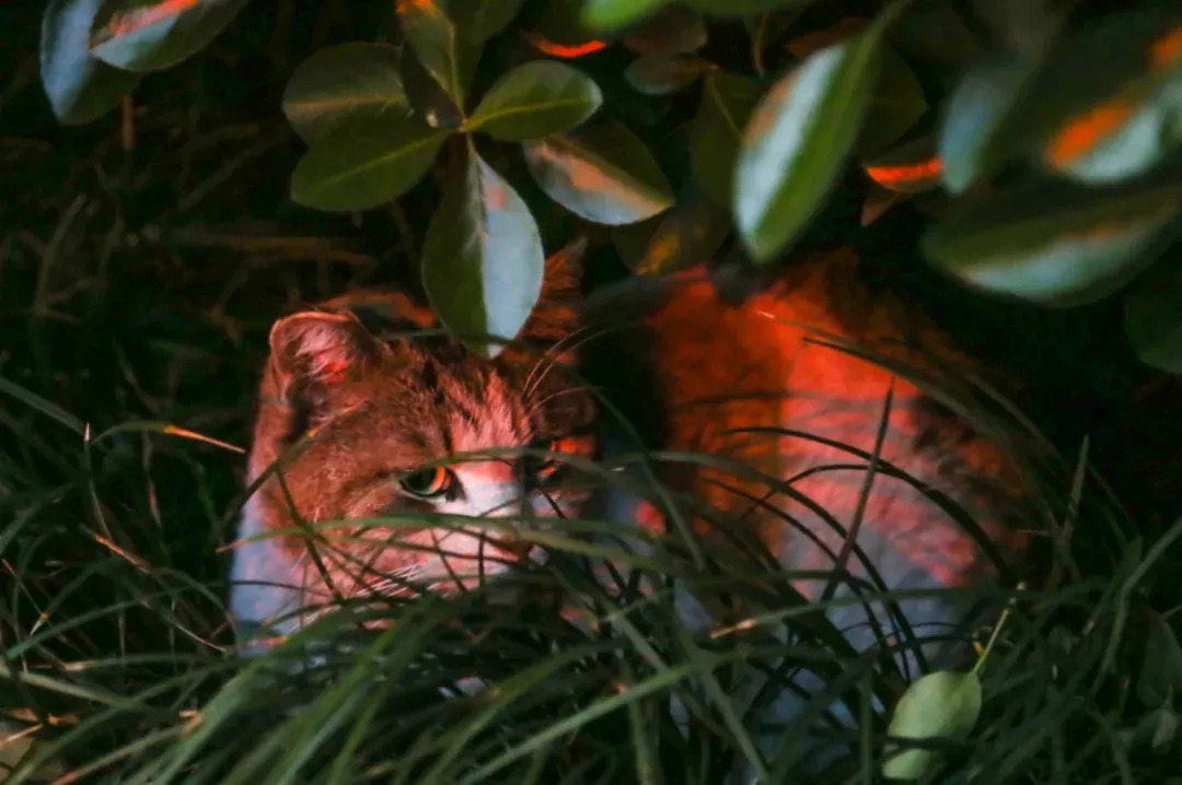 南京的夜晚真实图片,2005年的南京街头真实影像